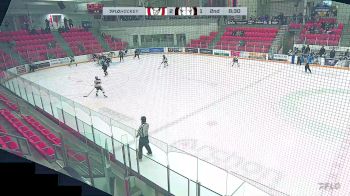 Replay: Vipr - 2025 Calgary Bisons vs Rebels | Mar 11 @ 6 PM