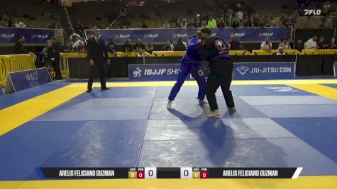 Sarah Elizabeth Wills vs Arelis Feliciano Guzman 2026 Pan Jiu Jitsu IBJJF Championship