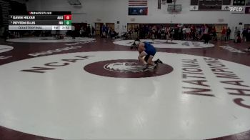 133 lbs Quarterfinal - Peyton Ellis, Johnson & Wales vs Gavin Hilyar, Augsburg