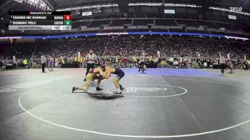 D1-144 lbs Quarterfinal - Tanner Mc Dunnah, Davison HS vs Dominic Pelc, Livonia Stevenson