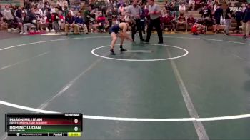 113 lbs Semifinal - Dominic Lucian, Salesianum vs Mason Milligan, First State Military Academy