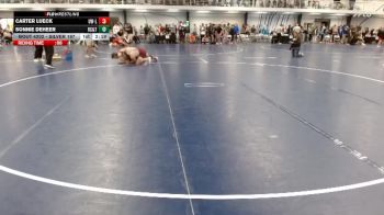 Silver 197 lbs Cons. Round 4 - Sonnie Deheer, Rochester Community & Tech. College vs Carter Lueck, Wisconsin-La Crosse