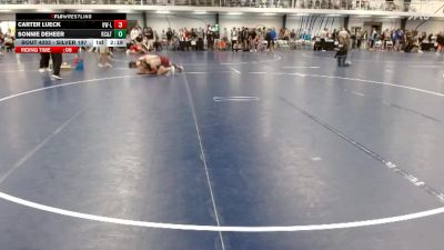 Silver 197 lbs Cons. Round 4 - Sonnie Deheer, Rochester Community & Tech. College vs Carter Lueck, Wisconsin-La Crosse