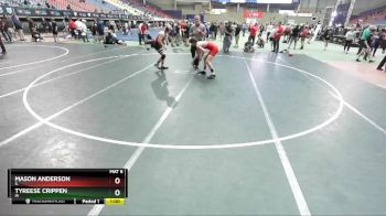 152 lbs Cons. Round 2 - Mason Anderson, IL vs Tyreese Crippen, IA