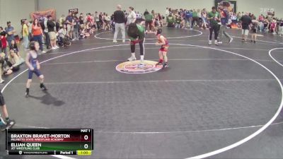 41 lbs Quarterfinal - Braxton Bravet-Morton, Palmetto State Wrestling Academy vs Elijah Queen, Jet Wrestling Club