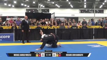 Michael Harold Woelfle vs Richard John Randolph 2025 World Master IBJJF Jiu-Jitsu Championship