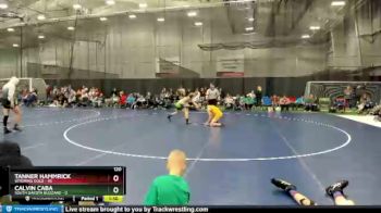120 lbs Round 2 (4 Team) - Calvin Caba, South Dakota Blizzard vs Tanner Hammrick, Wyoming Gold