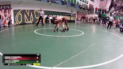 120 lbs Champ. Round 3 - Colyn Limbert, Buckeye (Medina) vs Aidan O`Donnell, Howland (Warren)