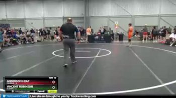 132 lbs Placement Matches (8 Team) - Anderson Heap, Florida vs Vincent Robinson, Illinois