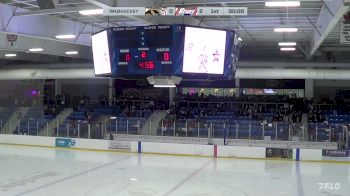 Replay: Home - 2024 Tigers vs Blades | Jan 20 @ 6 PM
