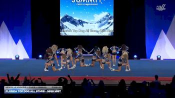 Florida Top Dog All Stars - Miss Mist [2026 L4 Junior - Flex - Small Finals] 2026 The Summit