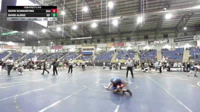 123 lbs Round Of 32 - Gavin Schwarting, Columbus Wrestling Organization vs David Alirez, Top Notch