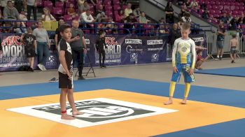 Dawid Largin vs Andrii Grechko 2024 ADCC Amateur World Championship