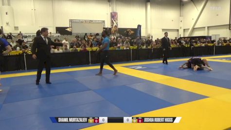 Joshua Robert Higgs vs Shamil Murtazaliev 2024 World IBJJF Jiu-Jitsu No-Gi Championship