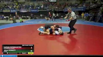 3rd Place Match - Lucian Paternostro, Archbishop Rummel vs Sean Dorsett, Rayne