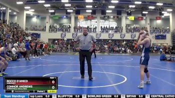 144 lbs Champ. Round 2 - Rocco D`amico, SANDUSKY vs Connor Andrews, Springfield (Holland)