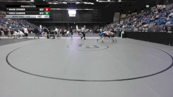 113 lbs Cons. Semi - Cruz Cannon, Hutchinson vs Wade Stubbs, Newton