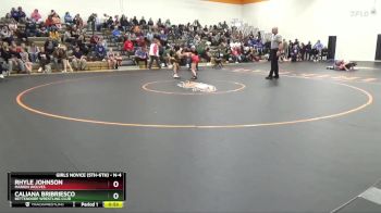 N-4 lbs Quarterfinal - Rhyle Johnson, Marion Wolves vs Caliana Bribriesco, Bettendorf Wrestling Club