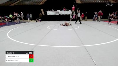 50 lbs Consi Of 4 - Jane Peacock, Georgia vs Athena Carroll, Dragons Junior Wrestling Club