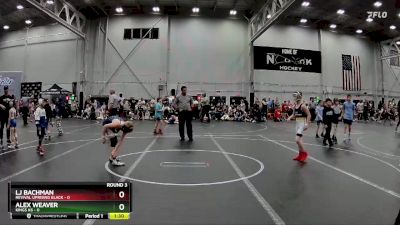 80 lbs Round 3 (4 Team) - LJ Bachman, Revival Uprising Black vs Alex Weaver, Kings K6