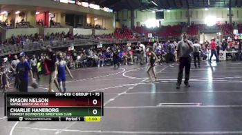 75 lbs 7th Place Match - Charlie Haneborg, Midwest Destroyers Wrestling Club vs Mason Nelson, Wayne Wrestling Club