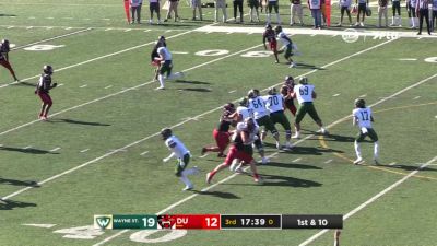 Replay: Wayne State vs Davenport - 2024 Wayne State (MI) vs Davenport | Oct 19 @ 2 PM