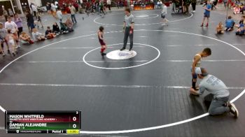 50 lbs Round 3 (3 Team) - Mason Whitfield, Palmetto State Wrestling Academy vs Damian Alejandre, Eastside