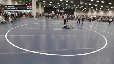 67 lbs Champ. Rd Of 64 - Levi Kaufman, Roundtree Wrestling Academy vs Leo Nielsen, The Best Wrestler