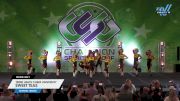 Terre Haute Cheer University - SWEET TEAS [2024 L4 Senior Day 1] 2024 CSG Indy Challenge