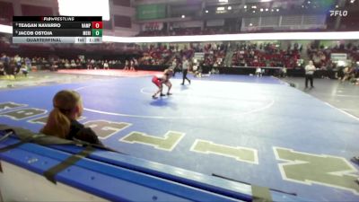 106 lbs Quarterfinal - Teagan Navarro, Nampa vs Jacob Ostoja, Meridian