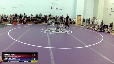 84 lbs Round 2 - Mateo Pena, Reverence Wrestling Club vs Shelbie Gantt, Soda City Wrestling Club