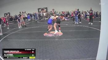 107 lbs Quarterfinal - Danir Mikhaylov, James Island Youth Wrestling vs Rj Stobbe, Cane Bay Cobras