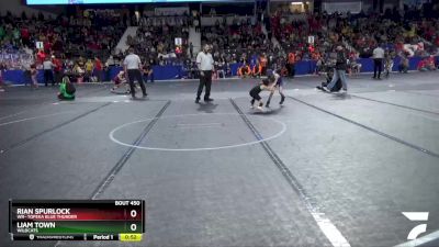 46 lbs Cons. Round 1 - Rian Spurlock, WR- Topeka Blue Thunder vs Liam Town, Wildcats