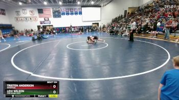 175 lbs Champ. Round 1 - Tristen Anderson, Riverton vs Levi Wilson, Cheyenne East
