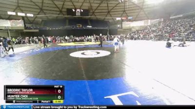 74 lbs Cons. Round 2 - Hunter Choi, Cherry Creek Wrestling Club vs Brodric Taylor, Steelclaw Wrestling Club