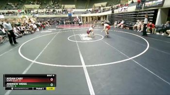 145 lbs Semis & 1st Wrestleback (8 Team) - Aydan Cary, North Scott vs Andrew Weiss, Holmen