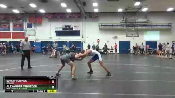 165 lbs Quarterfinal - Wyatt Haynes, Chicago vs Alexander Strueder, Wisconsin-Platteville