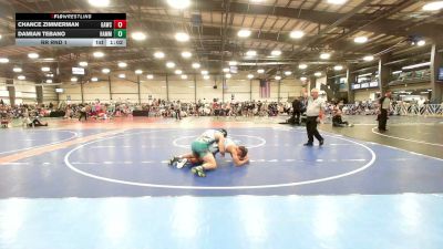 138 lbs Rr Rnd 1 - Chance Zimmerman, GAWC - HSB vs Damian Tebano, Hammer Wrestling Club - HSB