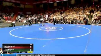 195 lbs D1/d2/d3 Finals (sat 3:00 P.m.) - Cole Klimek, Coleman vs Dalton Wolf, Fennimore
