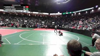 74 lbs Cons. Round 4 - Jameson Lewis, TWM1 vs Karson Emmi, WAD1