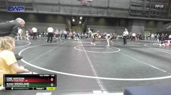 120 lbs Quarterfinal - Cire Watson, Team Of Hard Knox vs Kash Wendland, Hays Wrestling Club