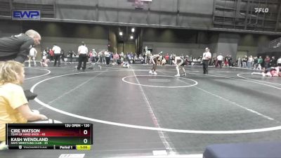 120 lbs Quarterfinal - Cire Watson, Team Of Hard Knox vs Kash Wendland, Hays Wrestling Club