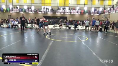 190 lbs Quarterfinal - Cain Tigges, Moen Wrestling Academy vs Ben Hammes, Iowa