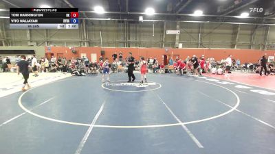 84 lbs Rr Rnd 1 - Tom Harrington, Bad Karma - MSE vs Vito Naljayan, Dynasty Ruthless - MSE