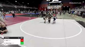 88 lbs 3rd Place - Cylar Bail, Middleton WC vs August Hennings, Nebraska Boyz