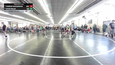 171 lbs Consi Of 8 #1 - Connor Eastabrook, Wyalusing vs Jayce Fellin, Lebanon