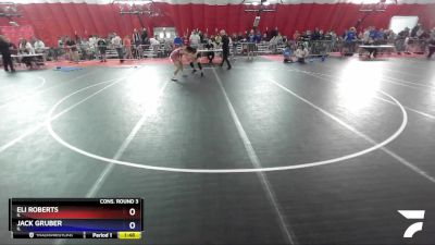 145 lbs Cons. Round 3 - Eli Roberts, IL vs Jack Gruber, IL