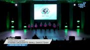 Foursis Dance Academy - Foursis Dazzlerette Small Dance Team [2024 Youth - Pom - Small Day 1] 2024 ASC Clash of the Titans Schaumburg & CSG Dance Grand Nationals