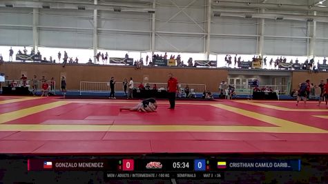 Gonzalo Menendez vs Cristhian Camilo Garibello 2025 ADCC South American Championship