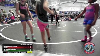 80 lbs Round 4 - Aubrey Gogian, Jr Viking vs Susan Branson, Butler